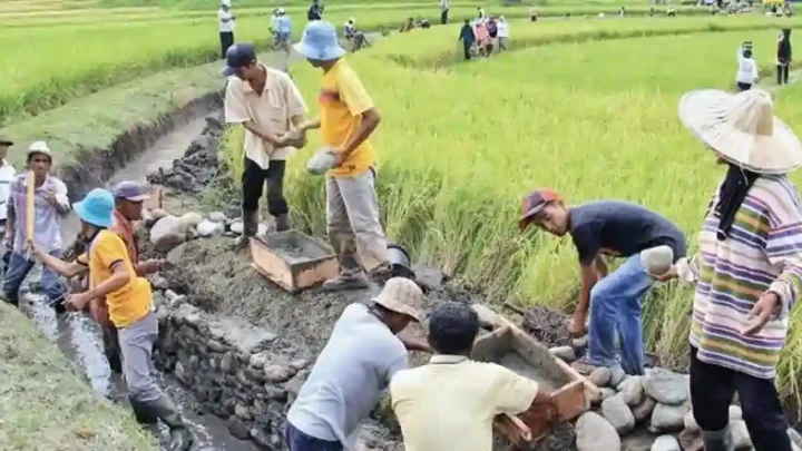 ilustrasi-dana-desa-di-bidang-pertanian