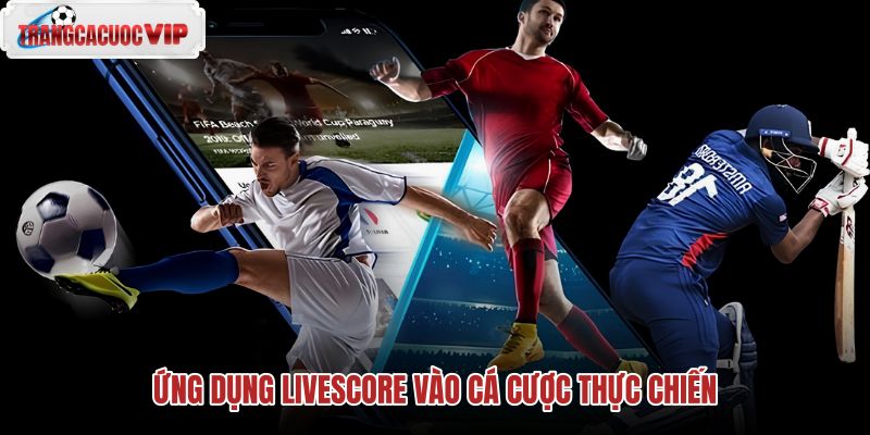 ung dung livescore vao ca cuoc thuc chien